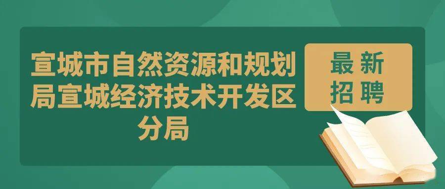 美兰区自然资源和规划局最新招聘公告概览