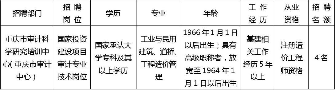 九龙坡区审计局最新招聘详解